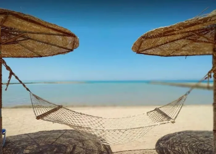 Amaizing 2br B2 In Turtles -