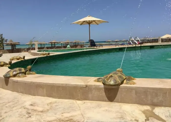 Appartement Amaizing 2br B2 In Turtles - *